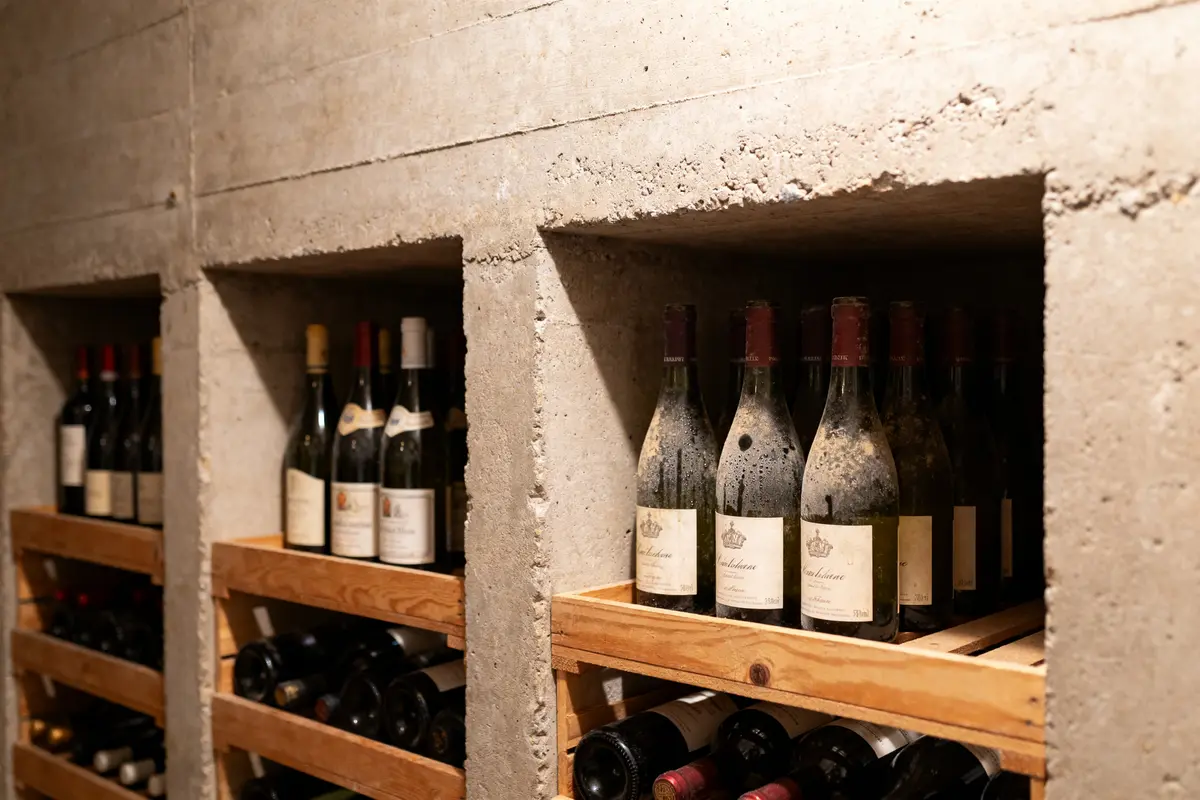 Cave à vin multiusage : Guide essentiel multi-températures et connectée