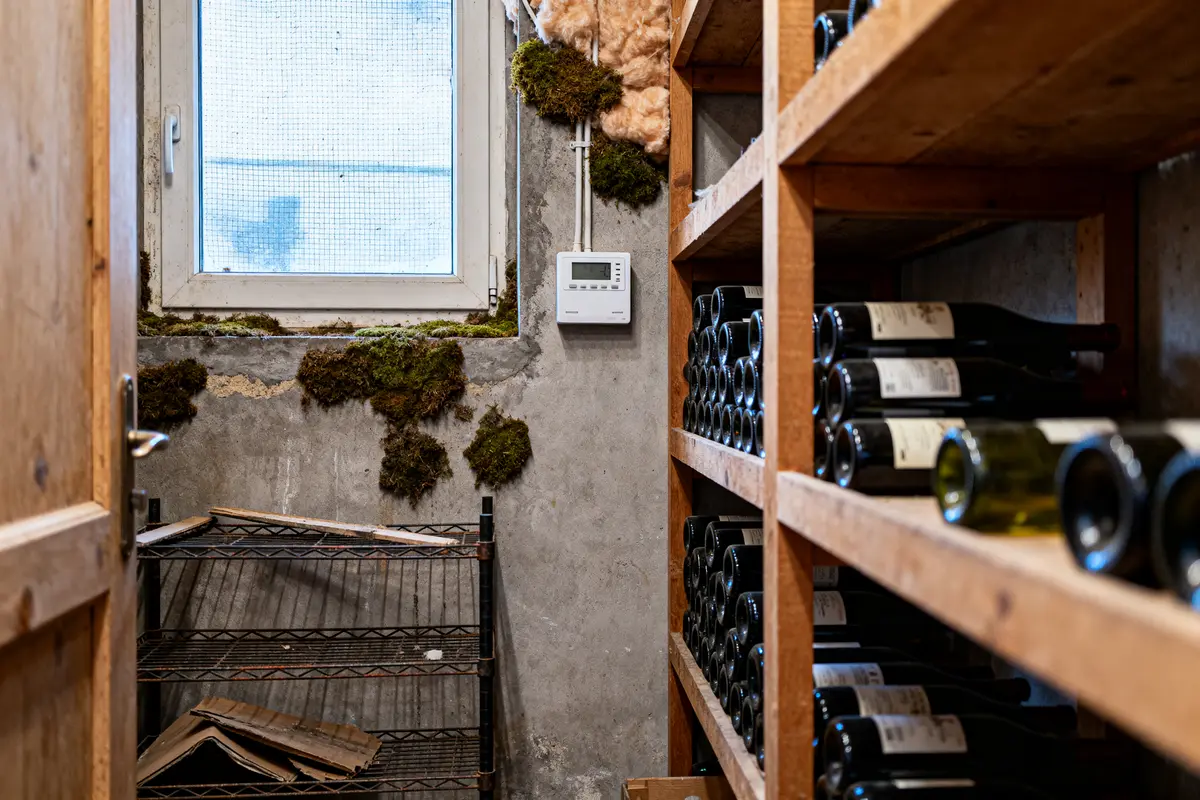 Cave à vin pas cher : Guide top qualité et prix bas 2026